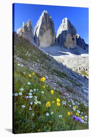 Tre Cime di Lavaredo, Sexten Dolomites, Province of Bolzano, South Tyrol, Italy-null-Stretched Canvas