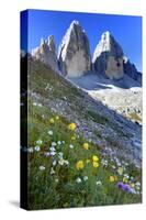 Tre Cime di Lavaredo, Sexten Dolomites, Province of Bolzano, South Tyrol, Italy-null-Stretched Canvas