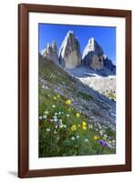 Tre Cime di Lavaredo, Sexten Dolomites, Province of Bolzano, South Tyrol, Italy-null-Framed Art Print