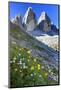 Tre Cime di Lavaredo, Sexten Dolomites, Province of Bolzano, South Tyrol, Italy-null-Mounted Art Print