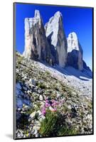 Tre Cime di Lavaredo, Sexten Dolomites, Province of Bolzano, South Tyrol, Italy-null-Mounted Art Print