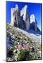 Tre Cime di Lavaredo, Sexten Dolomites, Province of Bolzano, South Tyrol, Italy-null-Mounted Art Print