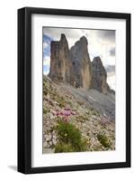 Tre Cime di Lavaredo, Sexten Dolomites, Province of Bolzano, South Tyrol, Italy-null-Framed Art Print