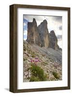 Tre Cime di Lavaredo, Sexten Dolomites, Province of Bolzano, South Tyrol, Italy-null-Framed Art Print