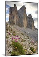 Tre Cime di Lavaredo, Sexten Dolomites, Province of Bolzano, South Tyrol, Italy-null-Mounted Art Print