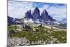 Tre Cime Di Lavaredo, Sexten Dolomites, South Tyrol, Italy, Europe, July 2009-Frank Krahmer-Mounted Photographic Print