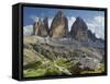 Tre Cime Di Lavaredo (Three Merlons), Meadow, South Tyrol-Rainer Mirau-Framed Stretched Canvas