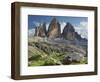 Tre Cime Di Lavaredo (Three Merlons), Meadow, South Tyrol-Rainer Mirau-Framed Photographic Print