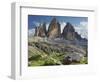 Tre Cime Di Lavaredo (Three Merlons), Meadow, South Tyrol-Rainer Mirau-Framed Photographic Print