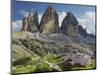 Tre Cime Di Lavaredo (Three Merlons), Meadow, South Tyrol-Rainer Mirau-Mounted Photographic Print