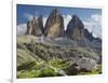 Tre Cime Di Lavaredo (Three Merlons), Meadow, South Tyrol-Rainer Mirau-Framed Photographic Print