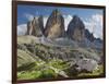 Tre Cime Di Lavaredo (Three Merlons), Meadow, South Tyrol-Rainer Mirau-Framed Photographic Print