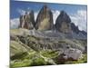 Tre Cime Di Lavaredo (Three Merlons), Meadow, South Tyrol-Rainer Mirau-Mounted Photographic Print