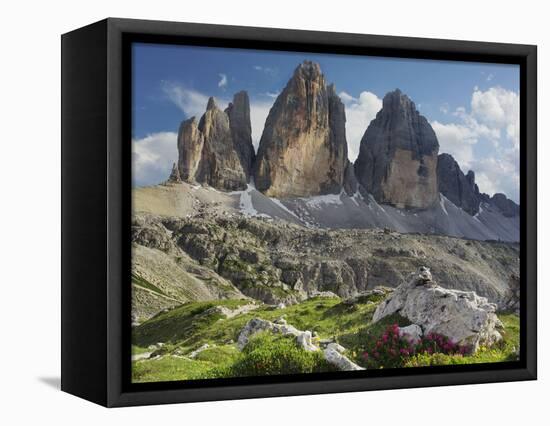 Tre Cime Di Lavaredo (Three Merlons), Meadow, South Tyrol-Rainer Mirau-Framed Stretched Canvas