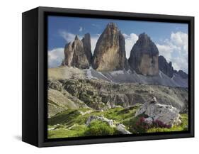 Tre Cime Di Lavaredo (Three Merlons), Meadow, South Tyrol-Rainer Mirau-Framed Stretched Canvas