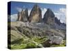 Tre Cime Di Lavaredo (Three Merlons), Meadow, South Tyrol-Rainer Mirau-Stretched Canvas