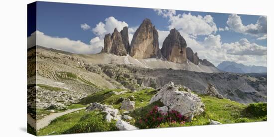 Tre Cime Di Lavaredo (Three Merlons), Meadow, South Tyrol-Rainer Mirau-Stretched Canvas