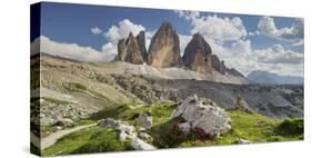 Tre Cime Di Lavaredo (Three Merlons), Meadow, South Tyrol-Rainer Mirau-Stretched Canvas