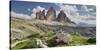 Tre Cime Di Lavaredo (Three Merlons), Meadow, South Tyrol-Rainer Mirau-Stretched Canvas