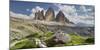 Tre Cime Di Lavaredo (Three Merlons), Meadow, South Tyrol-Rainer Mirau-Mounted Photographic Print