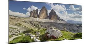 Tre Cime Di Lavaredo (Three Merlons), Meadow, South Tyrol-Rainer Mirau-Mounted Photographic Print