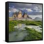 Tre Cime Di Lavaredo (Three Merlons), Puddle, Meadow, South Tyrol, the Dolomites Mountains, Italy-Rainer Mirau-Framed Stretched Canvas