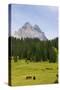 Tre Cime Di Lavaredo-Guido Cozzi-Stretched Canvas