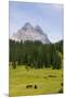 Tre Cime Di Lavaredo-Guido Cozzi-Mounted Premium Photographic Print