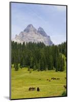 Tre Cime Di Lavaredo-Guido Cozzi-Mounted Photographic Print