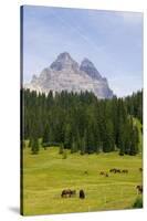 Tre Cime Di Lavaredo-Guido Cozzi-Stretched Canvas