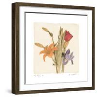 Tre Fiori III-Amy Melious-Framed Premium Giclee Print