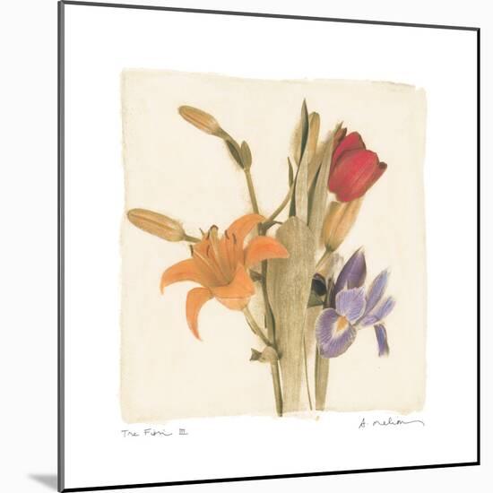 Tre Fiori III-Amy Melious-Mounted Premium Giclee Print