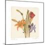 Tre Fiori III-Amy Melious-Mounted Premium Giclee Print