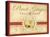 Tre Venezie Pinot Grigio-Devon Ross-Stretched Canvas