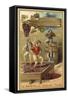 Treading Grapes-null-Framed Stretched Canvas