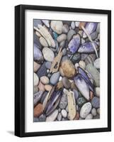 Treasure at Muscle Beach-Stephen Stavast-Framed Giclee Print