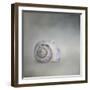 Treasure from the Deep-Jai Johnson-Framed Giclee Print