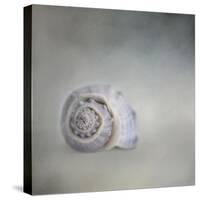 Treasure from the Deep-Jai Johnson-Stretched Canvas