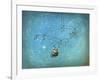 Treasure Hunter-Cindy Thornton-Framed Giclee Print