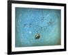 Treasure Hunter-Cindy Thornton-Framed Giclee Print