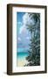 Treasure Island II-Rick Novak-Framed Art Print