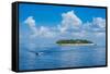 Treasure Island, Mamanuca Islands, Fiji, South Pacific-Michael Runkel-Framed Stretched Canvas