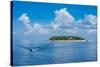 Treasure Island, Mamanuca Islands, Fiji, South Pacific-Michael Runkel-Stretched Canvas