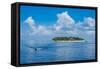 Treasure Island, Mamanuca Islands, Fiji, South Pacific-Michael Runkel-Framed Stretched Canvas