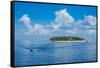 Treasure Island, Mamanuca Islands, Fiji, South Pacific-Michael Runkel-Framed Stretched Canvas