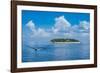 Treasure Island, Mamanuca Islands, Fiji, South Pacific-Michael Runkel-Framed Photographic Print