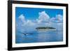 Treasure Island, Mamanuca Islands, Fiji, South Pacific-Michael Runkel-Framed Photographic Print