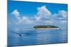 Treasure Island, Mamanuca Islands, Fiji, South Pacific-Michael Runkel-Mounted Photographic Print