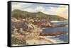 Treasure Island Trailer Park, Laguna Beach, California-null-Framed Stretched Canvas