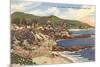 Treasure Island Trailer Park, Laguna Beach, California-null-Mounted Premium Giclee Print